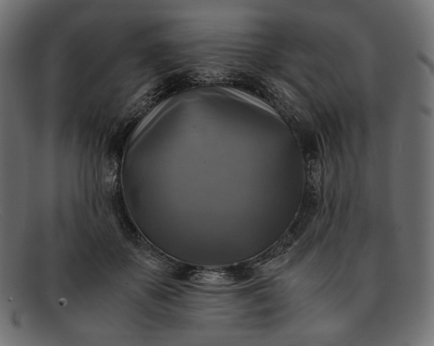 X0000091920507200709191342