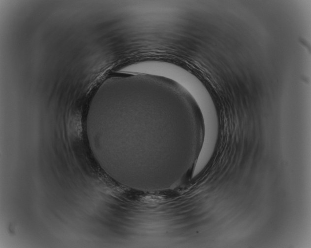 X0000091920508200709191342