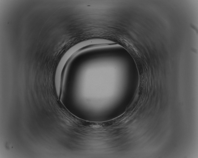 X0000091920509200709191342