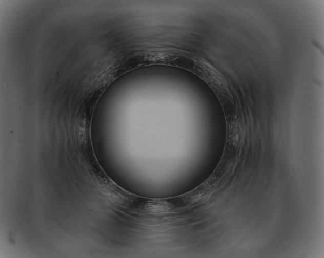 X0000091920510200709191342