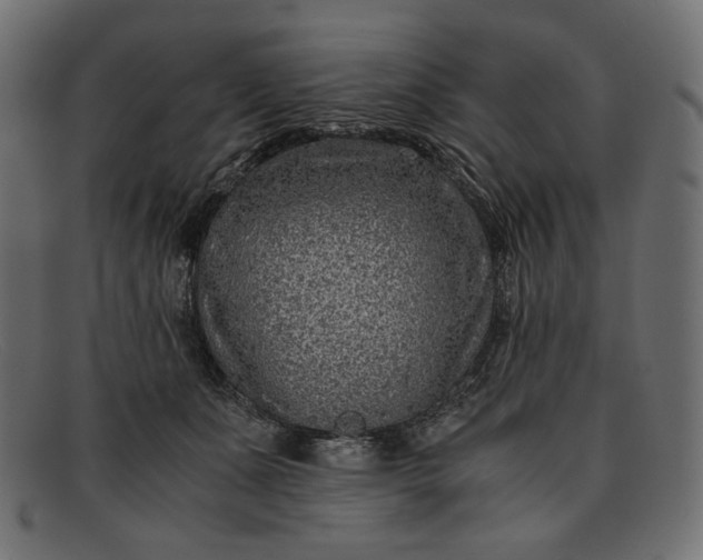 X0000091920511200709191342