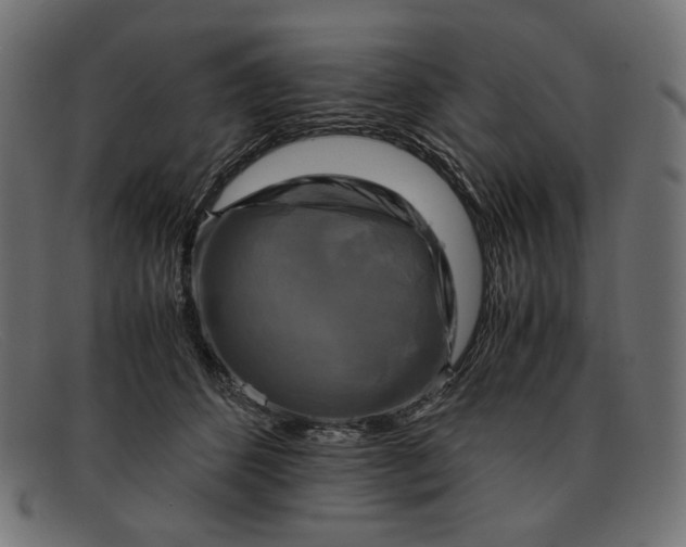 X0000091920512200709191342