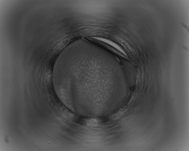 X0000091920513200709191342