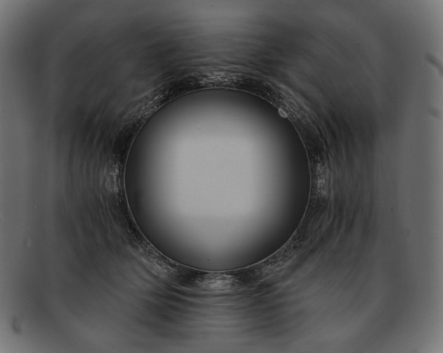 X0000091920514200709191342