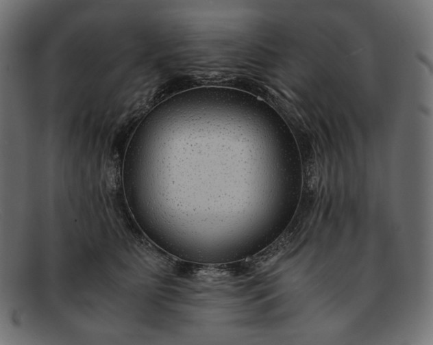 X0000091920515200709191342