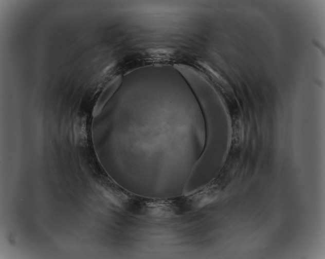 X0000091920516200709191342