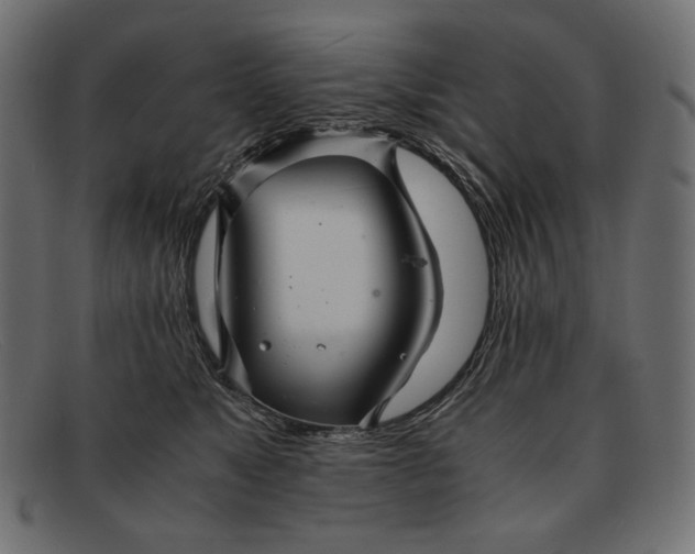 X0000091920517200709191342