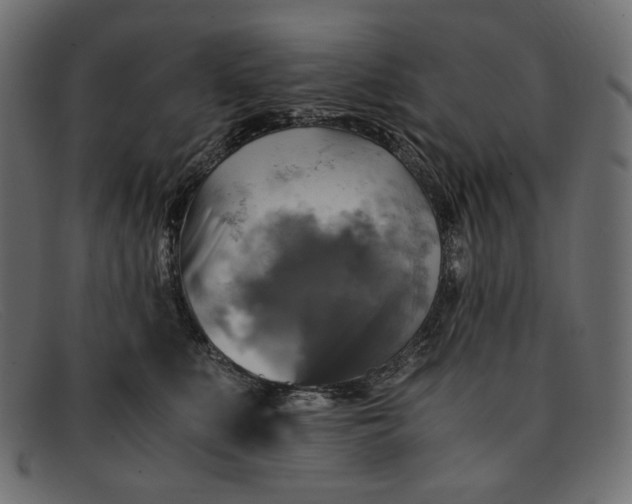 X0000091920519200709191342