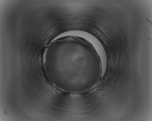 X0000091920520200709191342