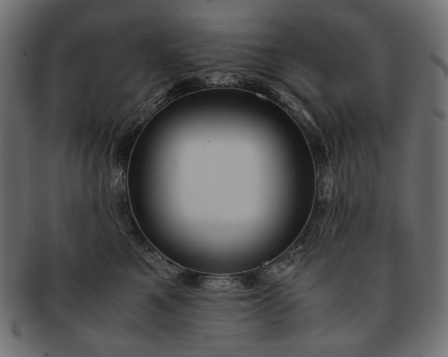 X0000091920521200709191342