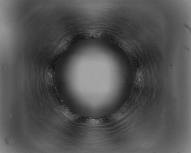 X0000091920522200709191342