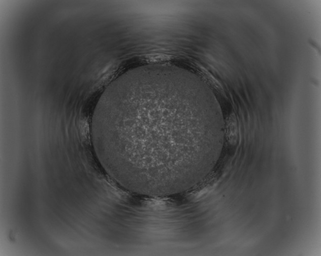 X0000091920523200709191342