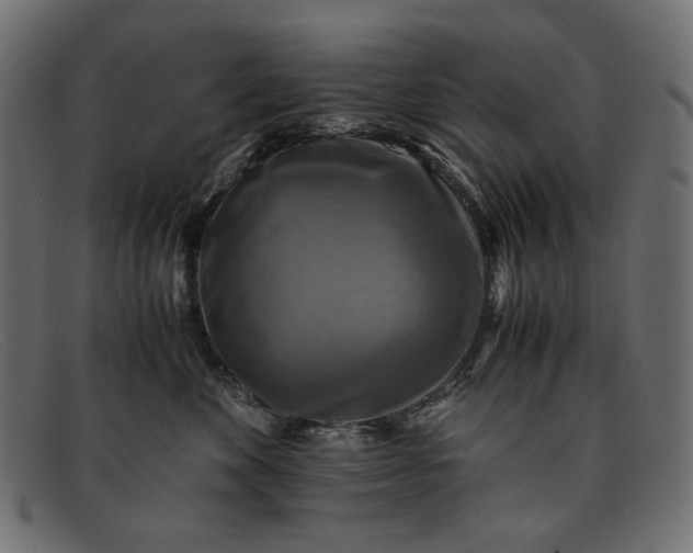 X0000091920524200709191342