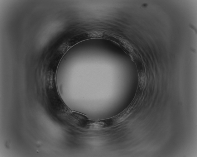 X0000091920525200709191342