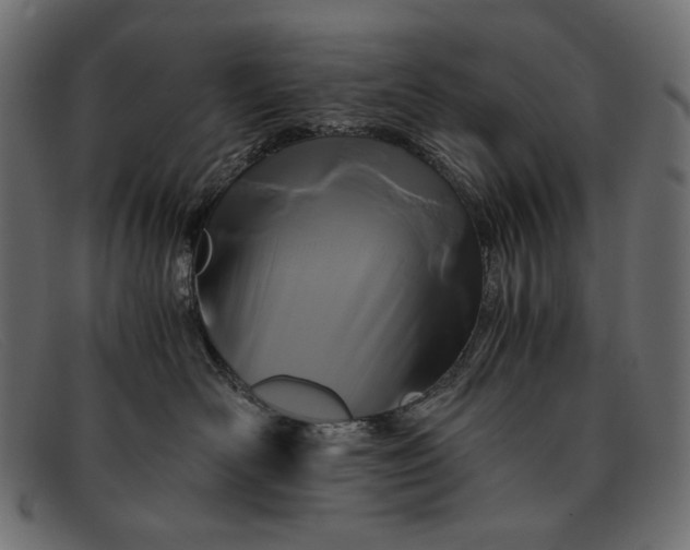 X0000091920526200709191342