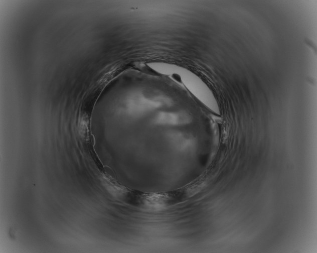 X0000091920527200709191342