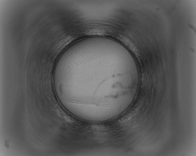 X0000091920529200709191341