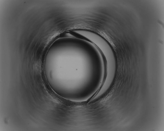 X0000091920530200709191341