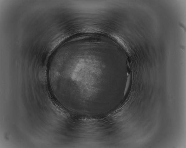 X0000091920531200709191341