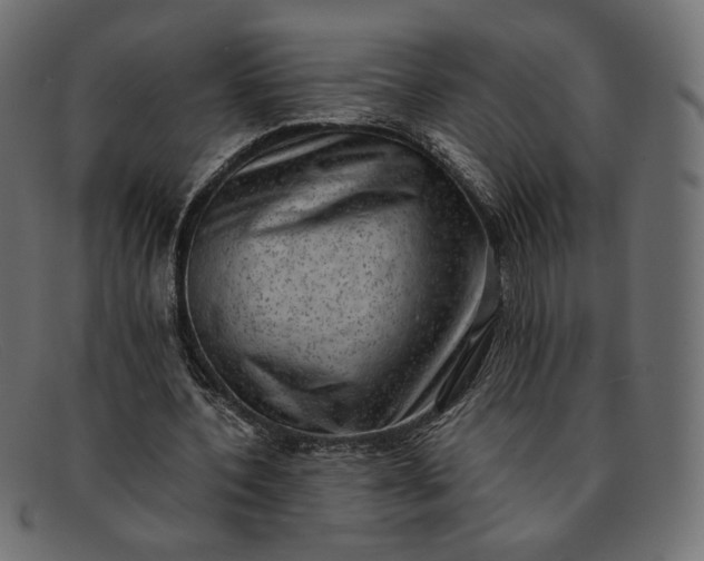 X0000091920532200709191341