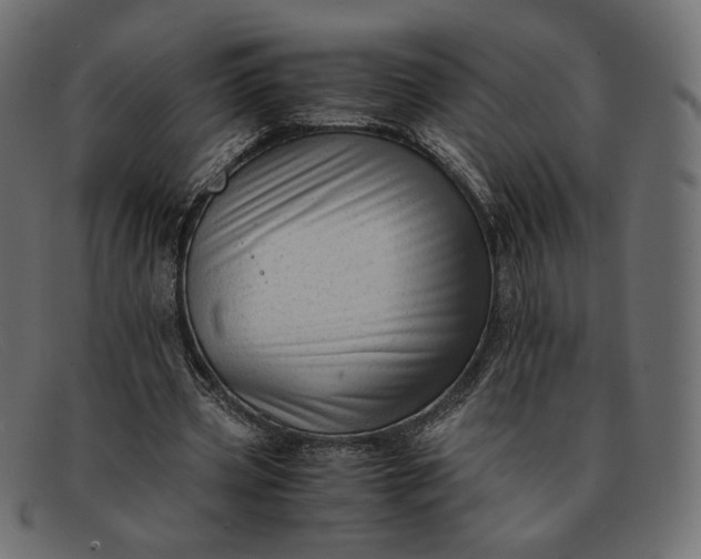 X0000091920533200709191341