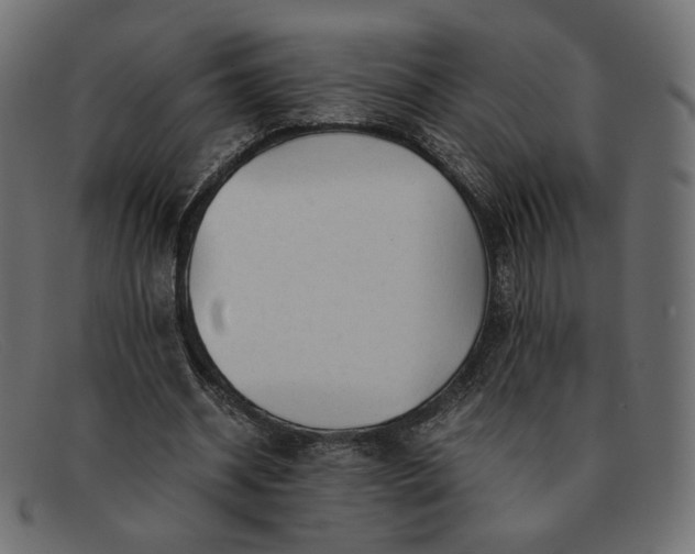 X0000091920534200709191341