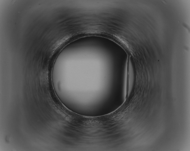 X0000091920535200709191341