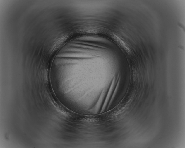 X0000091920537200709191341