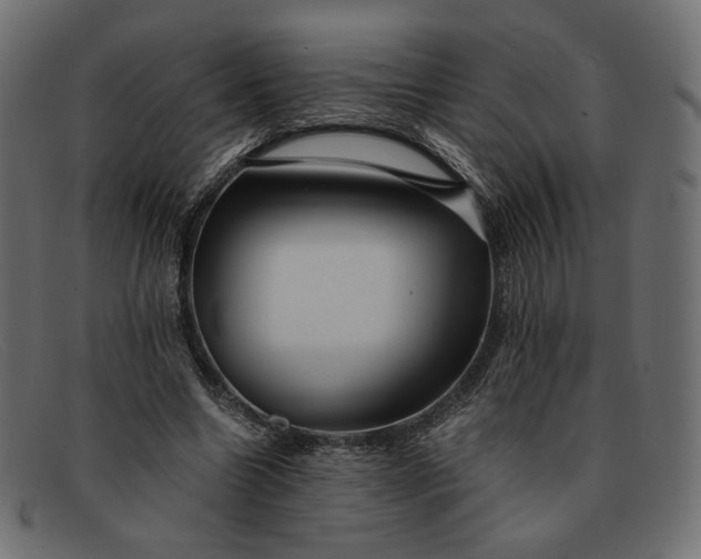 X0000091920538200709191341