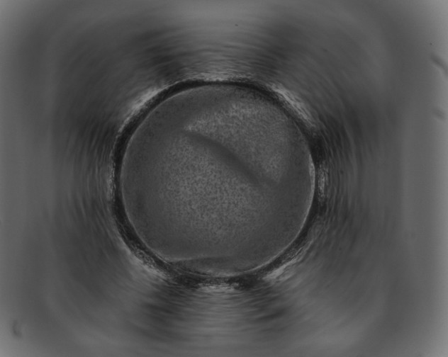 X0000091920540200709191341