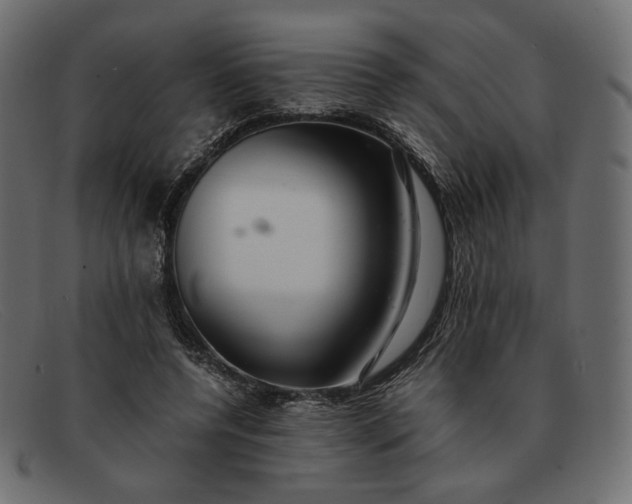 X0000091920544200709191341