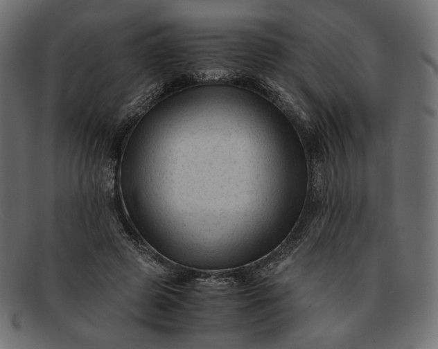 X0000091920545200709191342