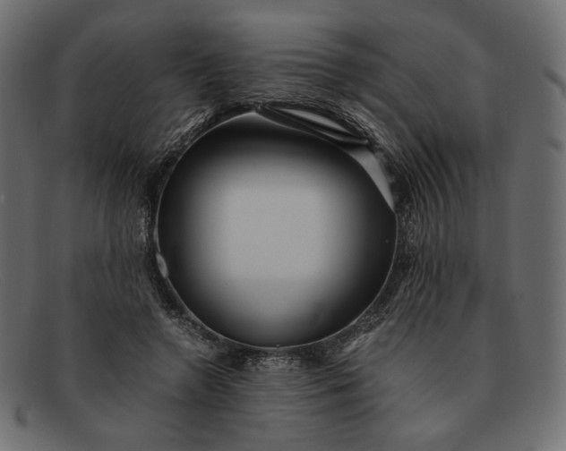 X0000091920546200709191342