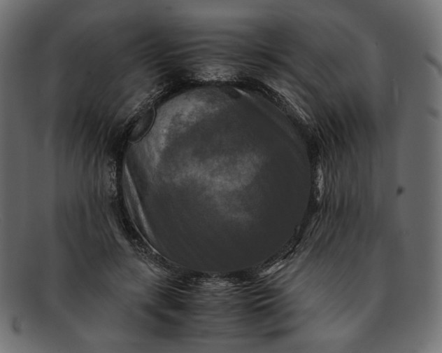 X0000091920547200709191342