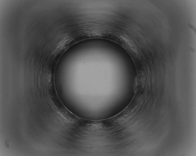 X0000091920548200709191342