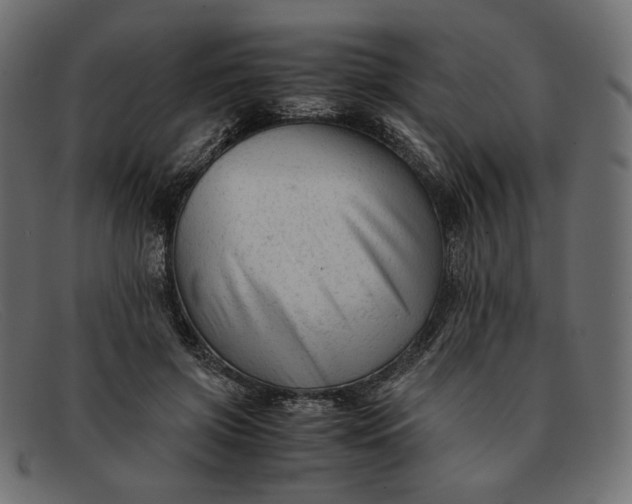 X0000091920549200709191342