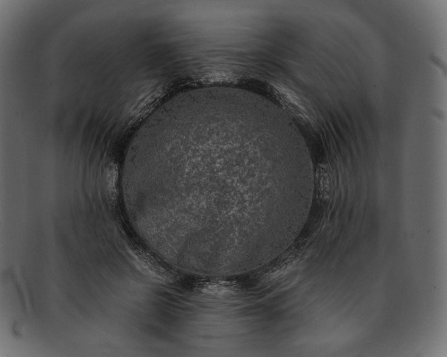 X0000091920550200709191342