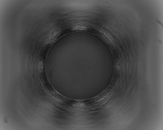 X0000091920551200709191342