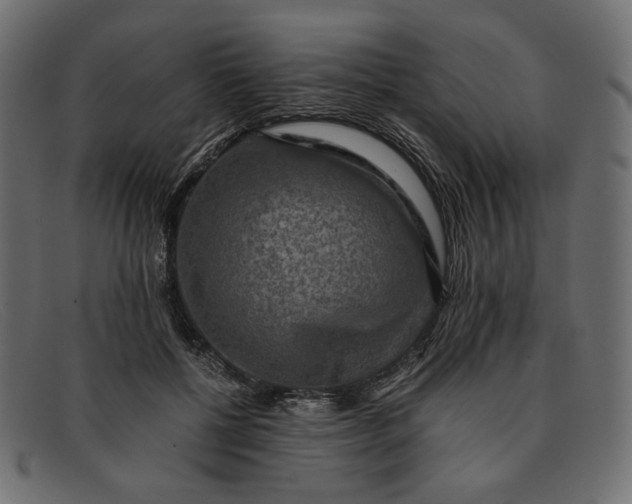 X0000091920552200709191342