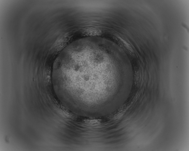 X0000091920553200709191342