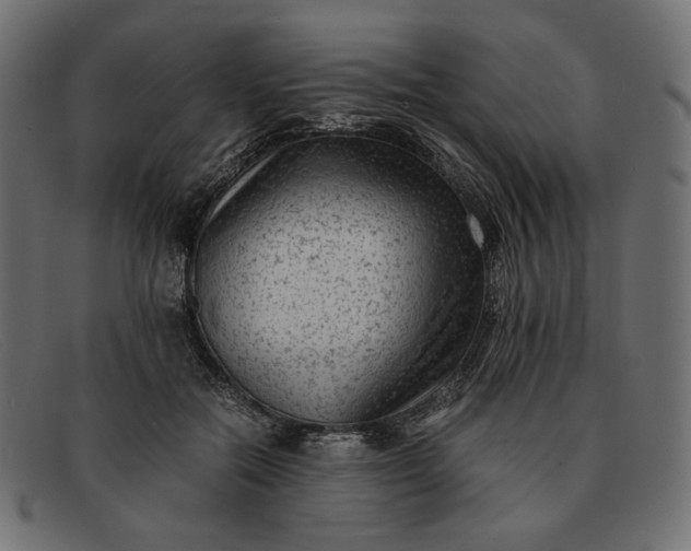 X0000091920554200709191342