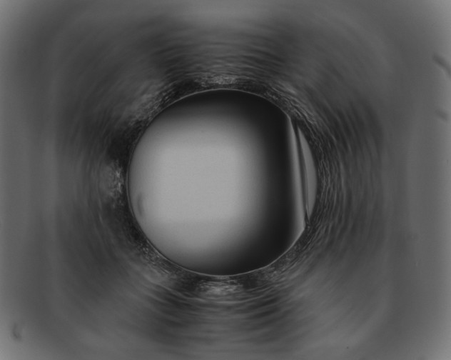 X0000091920555200709191342