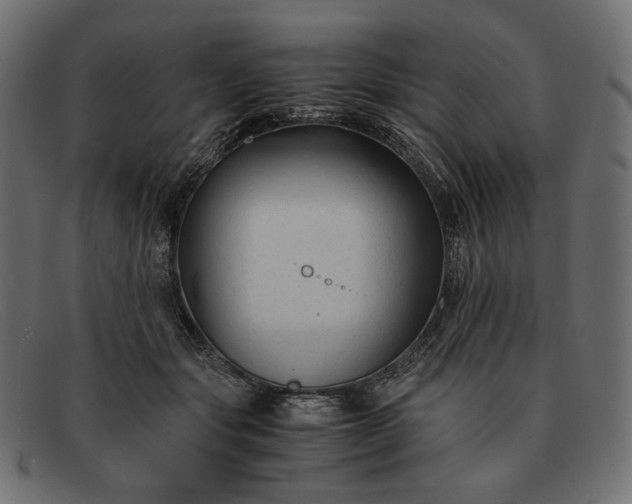 X0000091920557200709191342