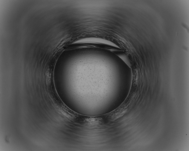 X0000091920558200709191342