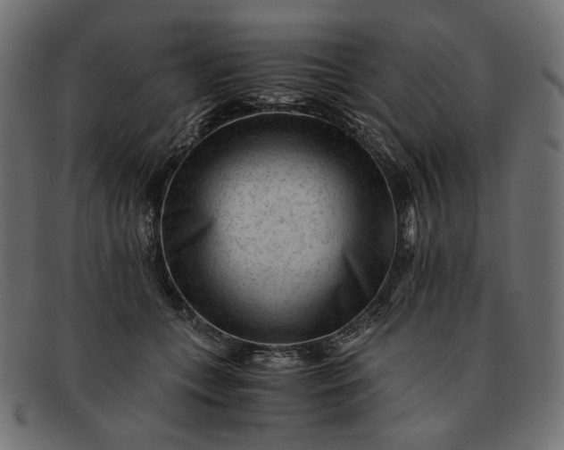 X0000091920559200709191342