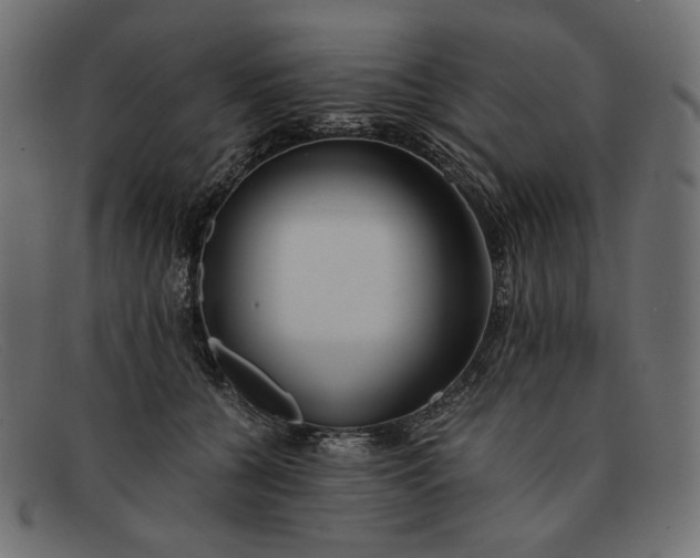 X0000091920560200709191342