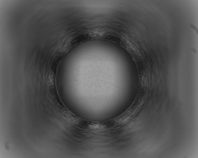 X0000091920561200709191342