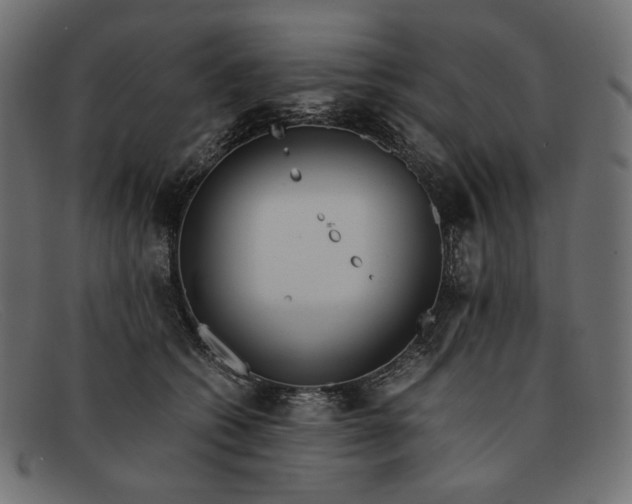 X0000091920562200709191342