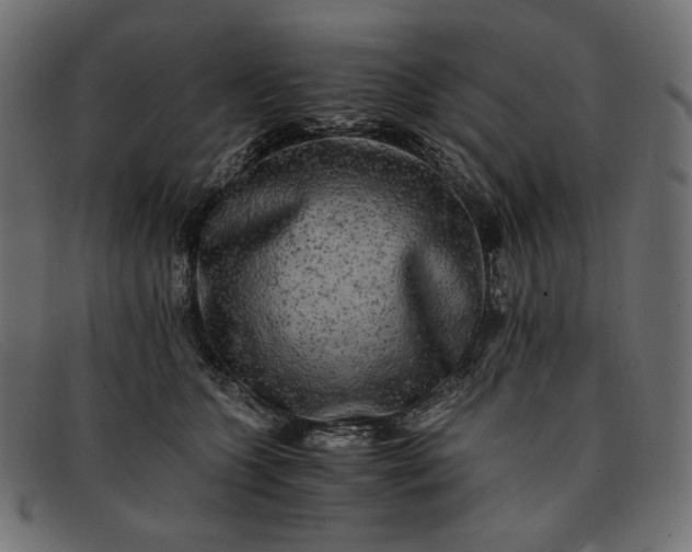 X0000091920563200709191342