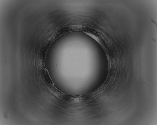 X0000091920564200709191342